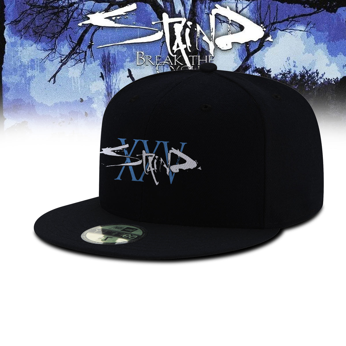 Break The Cycle 25th Anniversary Tour Limited Snapback Cap