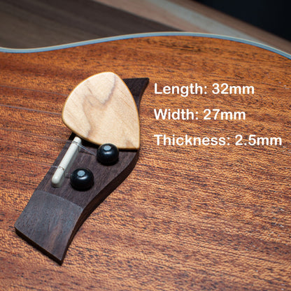 Wood Guitar PPersonalized ick with Engraved Walnut Case